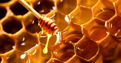 honeycomb and honey