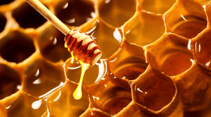 honeycomb and honey