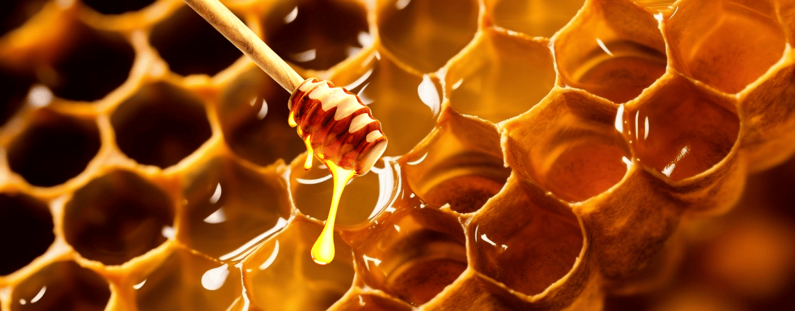 honeycomb and honey