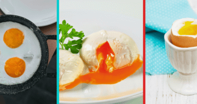 fried, poached and boiled eggs